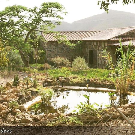 Live Finca San Miguel San Miguel de Abona Luaran gambar