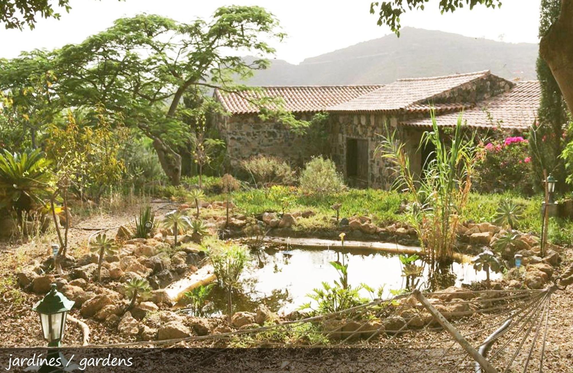 Live Finca San Miguel San Miguel de Abona Luaran gambar